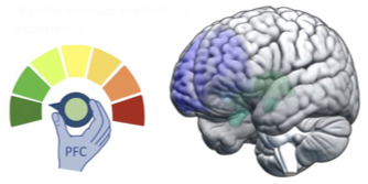 up regulation of emotions