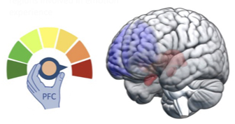 up regulation of emotions